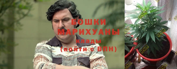 прущие крисы Алзамай