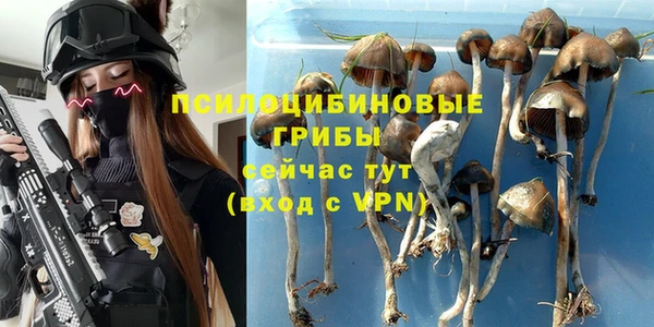 прущие крисы Алзамай