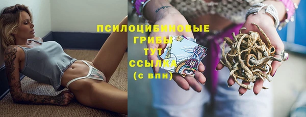 шишки Переславль-Залесский