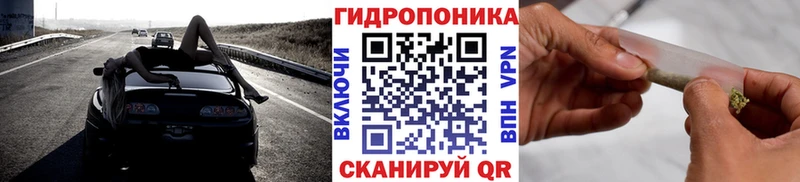 Марихуана сатива  МЕГА маркетплейс  Фатеж  где найти наркотики 